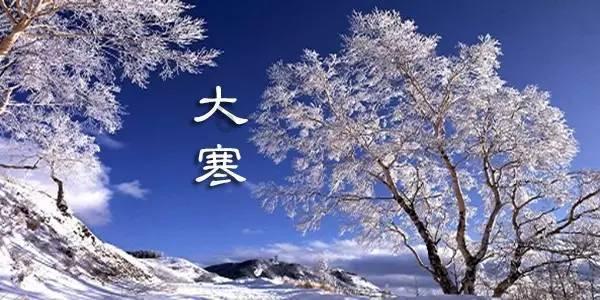 逃离梦想花园