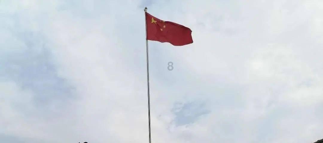 破碎的动物图形